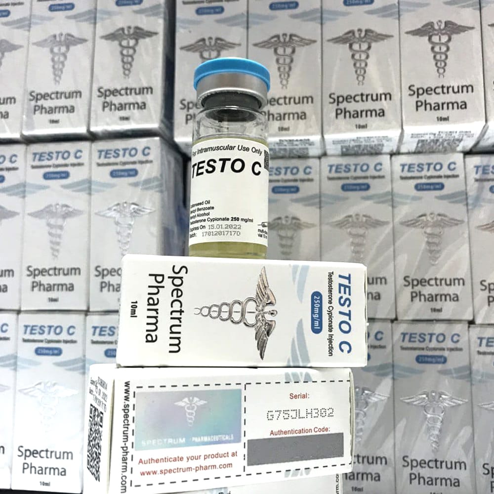 testo-c-2